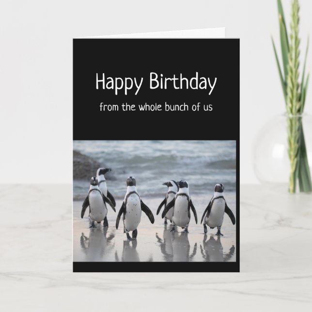 Happy Birthday From Group Whole Bunch Penguins Card (Front)