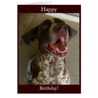 German Shorthaired Pointer Cards, Photo Card Templates, Invitations & More