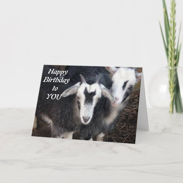 HAPPY BIRTHDAY FROM HAPPY PIGMY GOAT COUPLE CARD (Front)