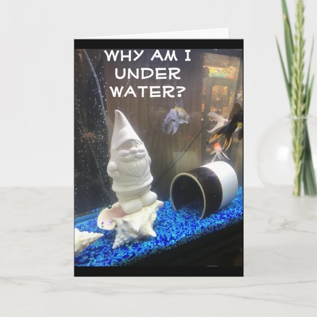 HAPPY BIRTHDAY FROM HUMOROUS GNOME CARD (Front)