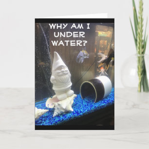 HAPPY BIRTHDAY FROM HUMOROUS GNOME CARD