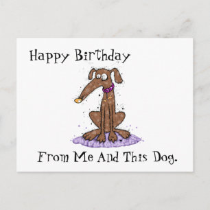 Happy Birthday From Me Postcard