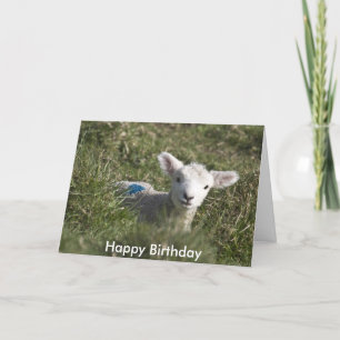 Happy birthday from me to ewe card