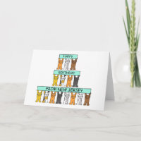 Happy Birthday from New Jersey, Cute Cats.