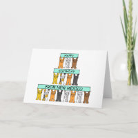 Happy Birthday from New Mexico Cats