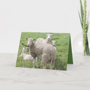 Happy Birthday from Sheep In a Green Field Card