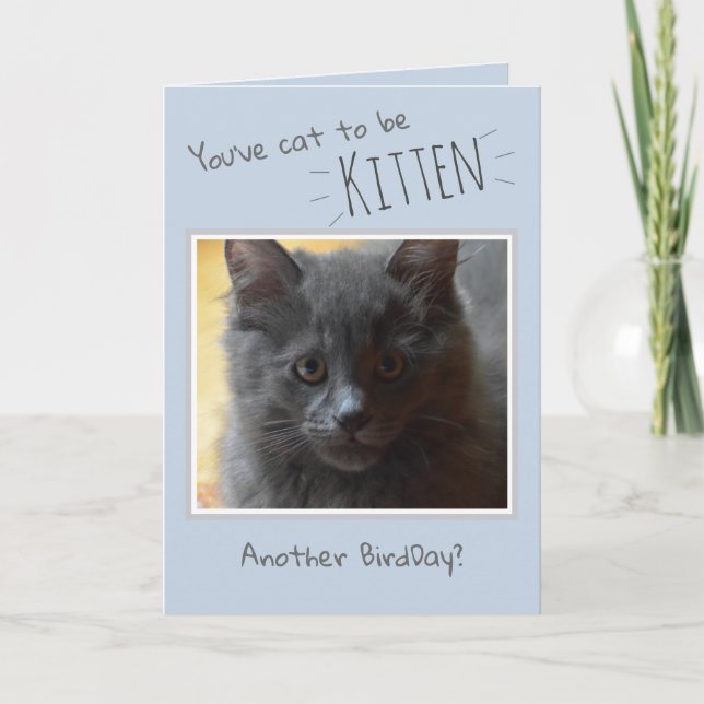 Happy Birthday from the Cat Card (Front)