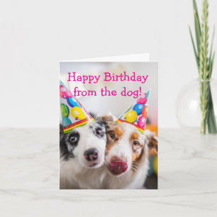 Happy Birthday from the Dog  Card