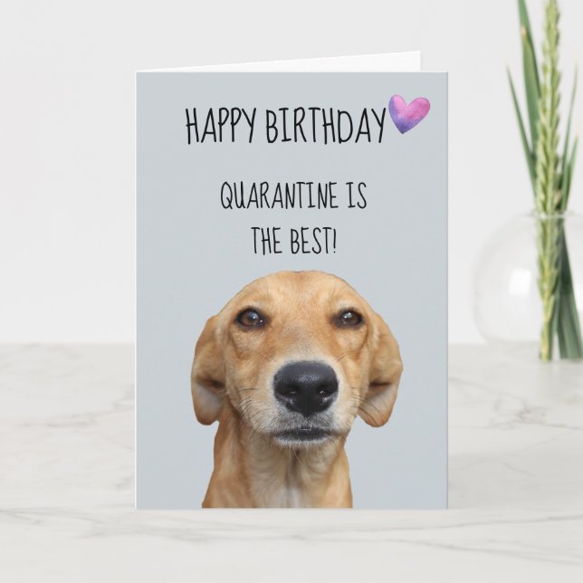 Happy Birthday From The Dog Quarantine Covid-19 Card (Front)