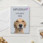 Happy Birthday From The Dog To Favourite Human Card<br><div class="desc">This design was created though digital art. It may be personalised in the area provide or customising by choosing the click to customise further option and changing the name, initials or words. You may also change the text colour and style or delete the text for an image only design. Contact...</div>