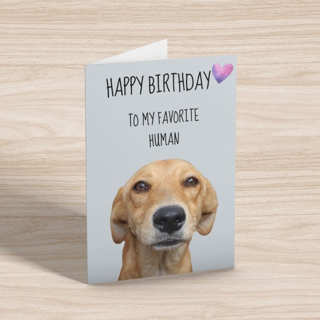 Happy Birthday From The Dog To Favourite Human Card (Creator Uploaded)