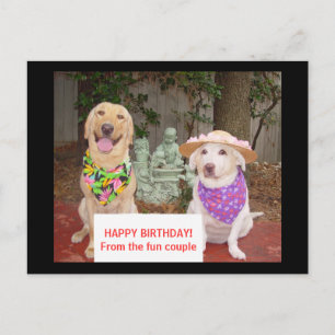 HAPPY BIRTHDAY! From the fun couple Postcard