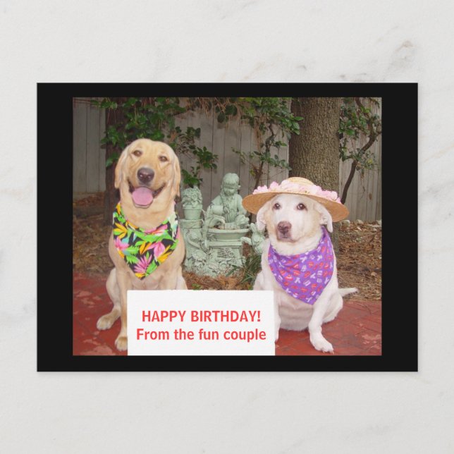 HAPPY BIRTHDAY! From the fun couple Postcard (Front)