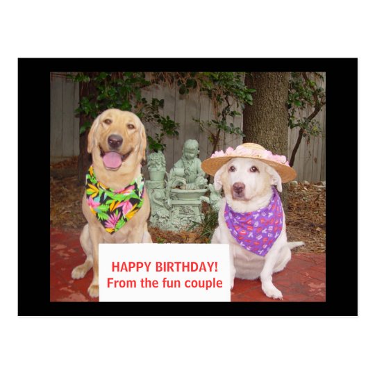 HAPPY BIRTHDAY! From the fun couple Postcard