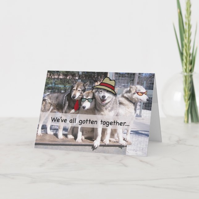 Happy Birthday from the Group, Huskies Card (Front)