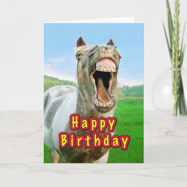 Funny Horse Cards | Zazzle UK