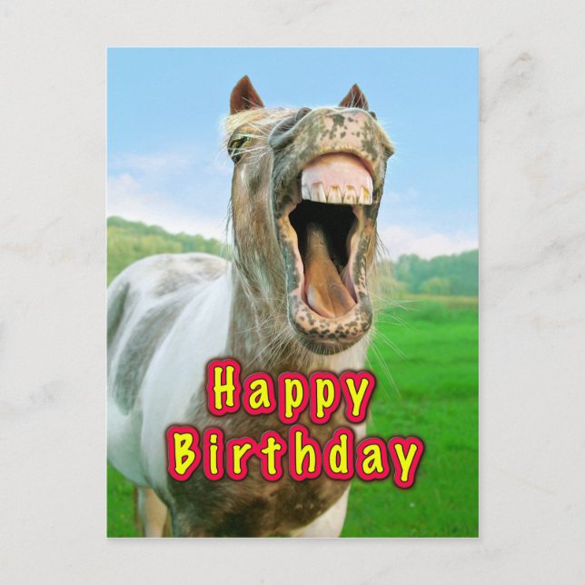 Happy Birthday from the happy horse Postcard (Front)