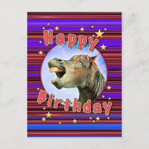 Happy Birthday from the laughing horse Postcard
