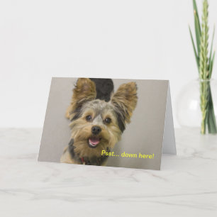 Happy Birthday from the little one. Card