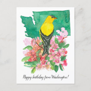 Happy Birthday from Washington Goldfinch Flower Postcard