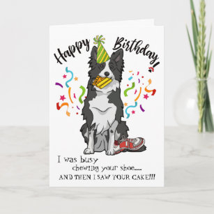 Funny Collie Birthday Cards Zazzle Uk