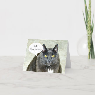 Happy Birthday From Your Cat Greeting Card