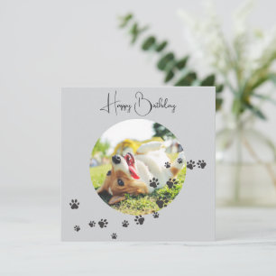 Happy Birthday from Your Furry Friend 2 Photos Card