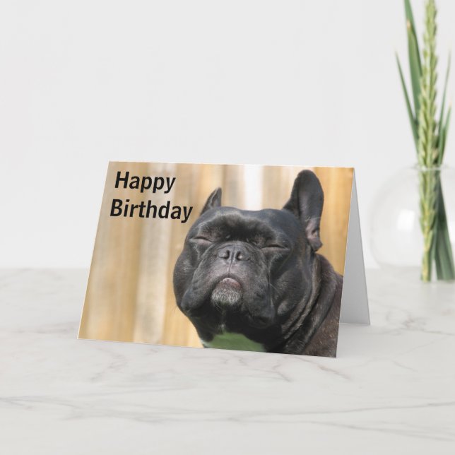 Happy Birthday Fun - Paris Merille Card (Front)