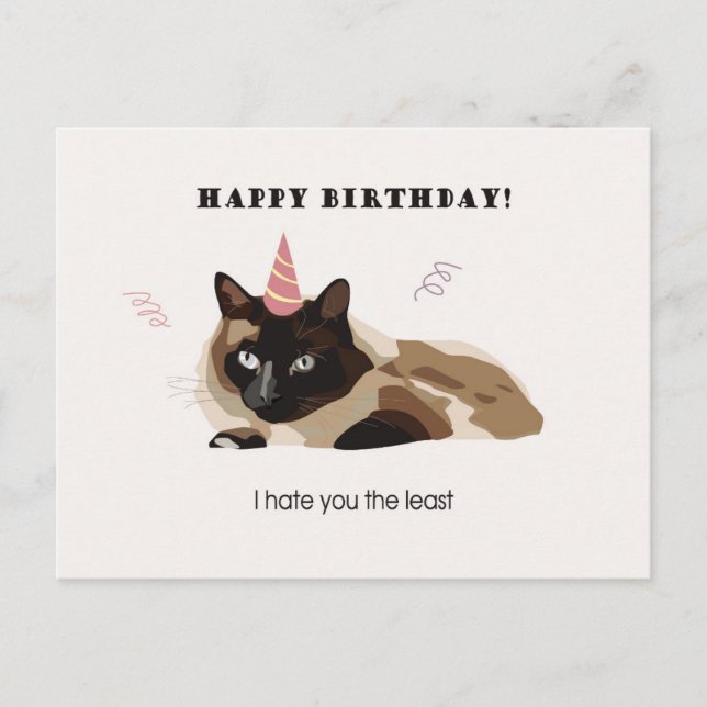 Happy Birthday Funny Cat Card (Front)