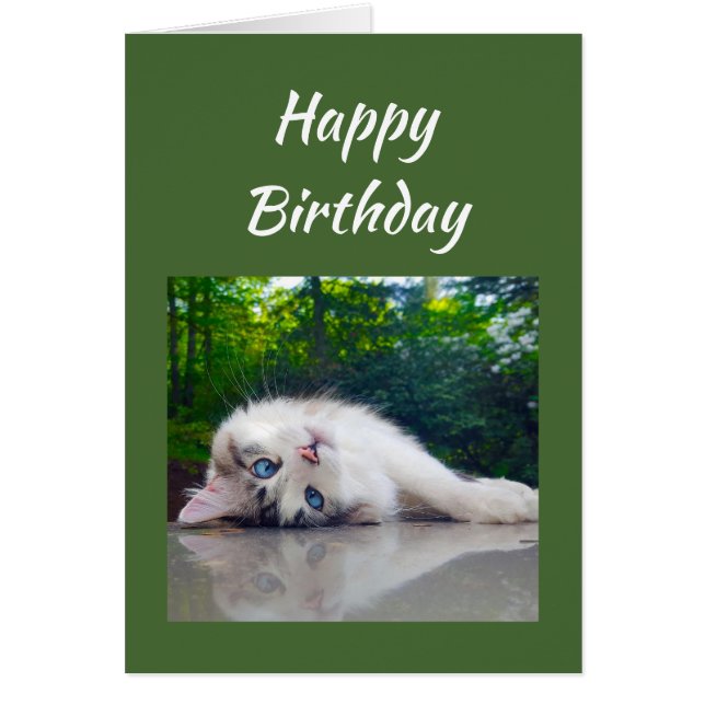 Happy Birthday Funny Cat Persective Humour (Front)