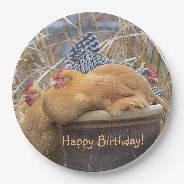 Happy Birthday Funny Chickens Paper Plate (Front)