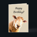 Happy Birthday Funny Sheep Animal Humour Card<br><div class="desc">Happy Birthday Funny Sheep Animal Humour growing older is bullsheep</div>