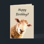 Happy Birthday Funny Sheep Animal Humour Card<br><div class="desc">Happy Birthday Funny Sheep Animal Humour growing older is bullsheep</div>