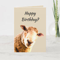 Happy Birthday Funny Sheep Animal Humour