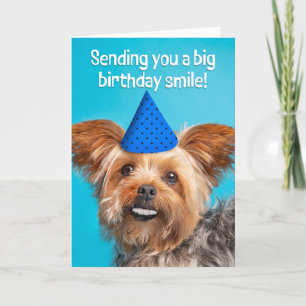 Happy Birthday Funny Yorkie Dog With Teeth Holiday Card