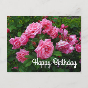 Happy Birthday Gene Boerner Rose #2 Postcard