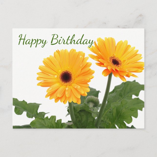 Happy Birthday Gerbera Daisy  Orange Green Flowers Postcard (Front)