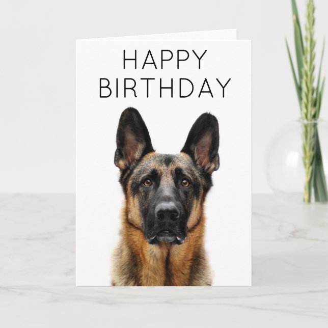 Happy Birthday | German Shepherd Card (Front)