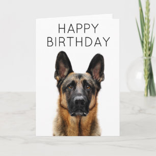 Happy Birthday German Shepherd Card