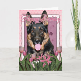 Happy Birthday - German Shepherd - Kuno Card