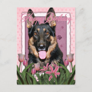 Happy Birthday - German Shepherd - Kuno Postcard