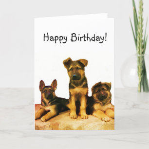 Happy Birthday German Shepherd puppies card