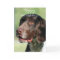 Happy Birthday German Shorthaired Pointer
