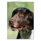 German Shorthaired Pointer Puppy Card | Zazzle.co.uk