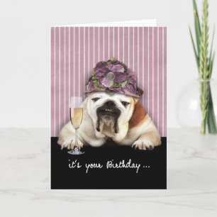 happy birthday, getting older, humour, dog card