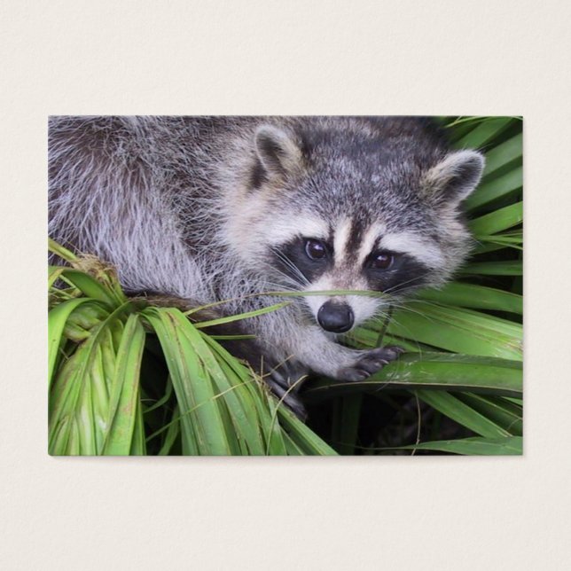 Happy Birthday Gift Tag (Front)