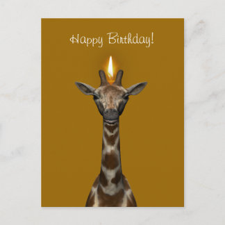 Happy Birthday Giraffe Postcard