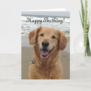 Happy Birthday Golden Retriever Holiday Card