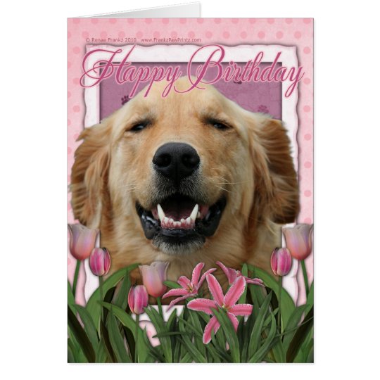 Happy Birthday - Golden Retriever - Mickey Card