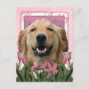 Happy Birthday - Golden Retriever - Mickey Postcard